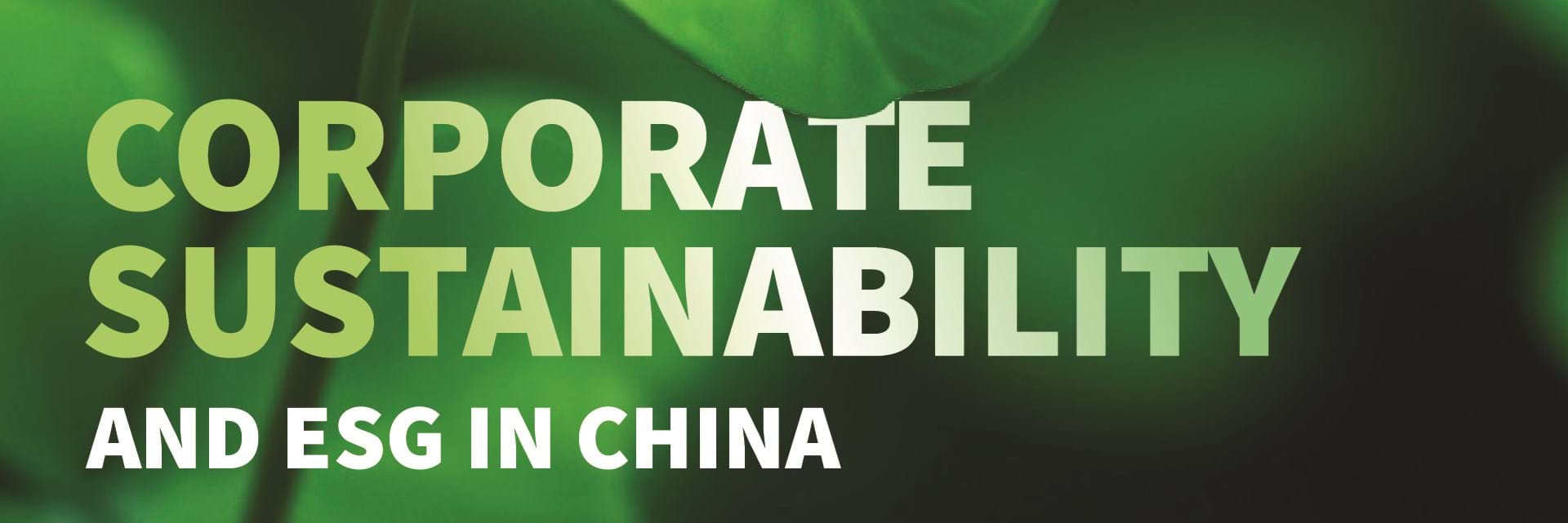 crafting a winning esg narrative